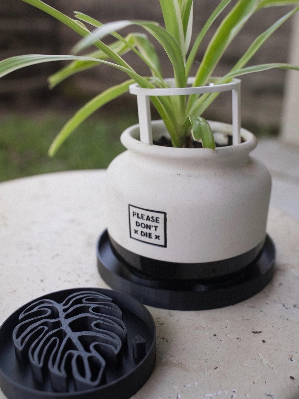Monstera Leaf Plant Saucer Tray Plant Decor -Size S, 4”w